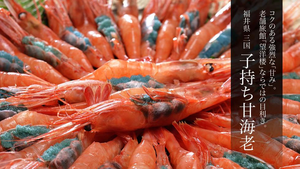 活じめ子持ち甘海老(甘えび) メイン画像