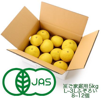 有機JAS無農薬【家庭用】土佐文旦5kg