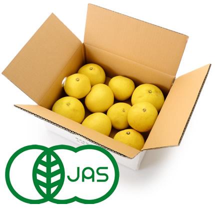 324647789900　追加伝票