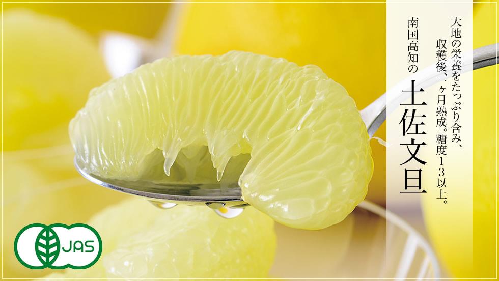 土佐文旦　むき身