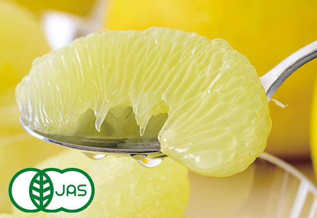 土佐文旦　むき身