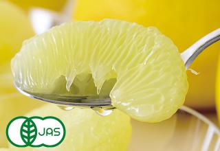 有機JAS無農薬「土佐文旦」