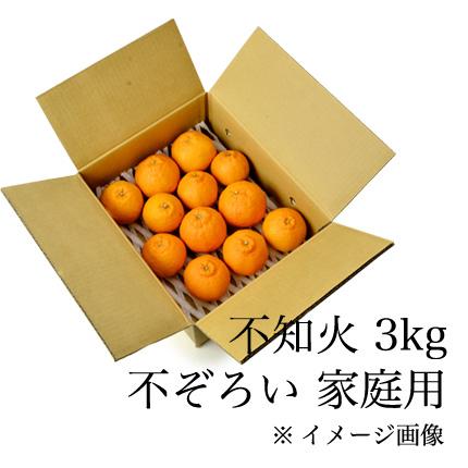 不知火（しらぬい）3kg【ご家庭用】