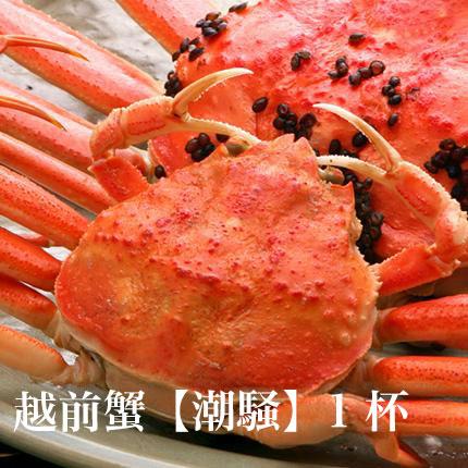 越前蟹【潮騒】1杯◆4月13日発送分までの限定