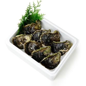 平戸の岩牡蠣 メイン商品画像