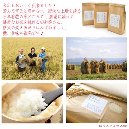 【新米】特別栽培米はえぬき5kg（9月29日以降発送）