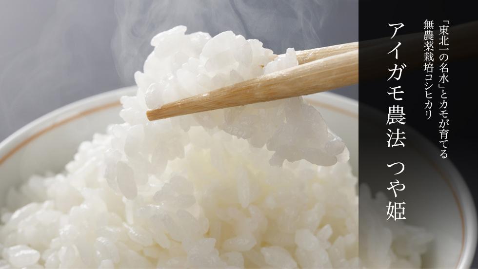 山形県庄内産 無農薬栽培 コシヒカリ 合鴨農法