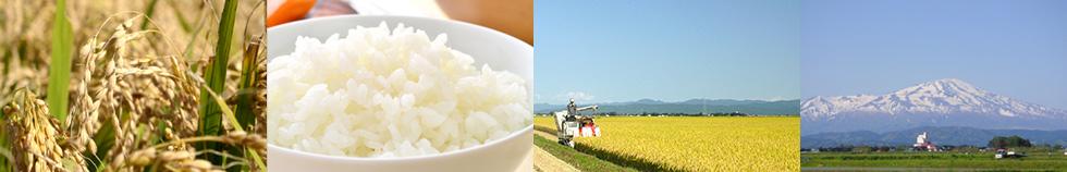 山形県庄内産　無農薬栽培　合鴨農法