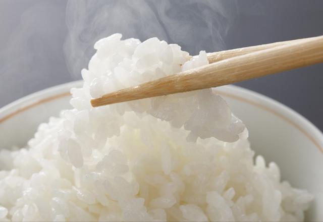 山形県庄内産 無農薬栽培 コシヒカリ 合鴨農法
