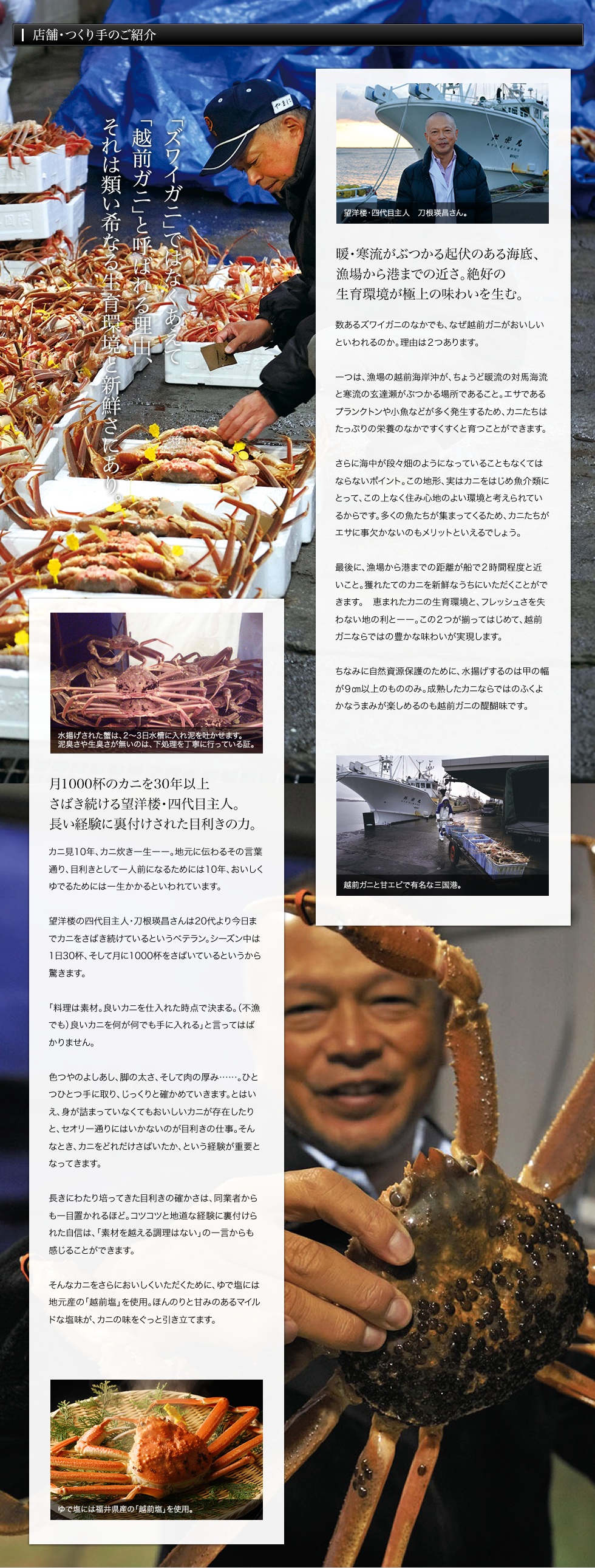 望洋楼について